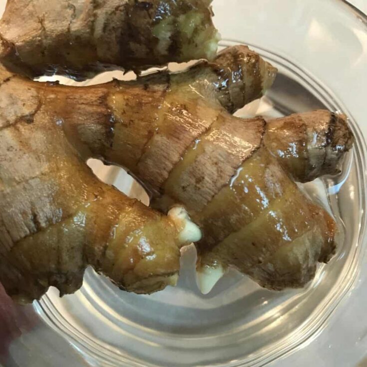 How to Grow, Harvest, Preserve Ginger Indoors: 4 Easy Steps