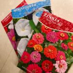 Starting Seeds Indoors for Your Garden: Tips For Success FullSizeRender 10