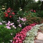 8 Powerful Elements in Flower Garden Design flower garden design