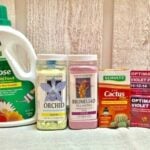 How to Fertilize Houseplants: And the 1 BEST Fertilizer! Fertilizing Houseplants