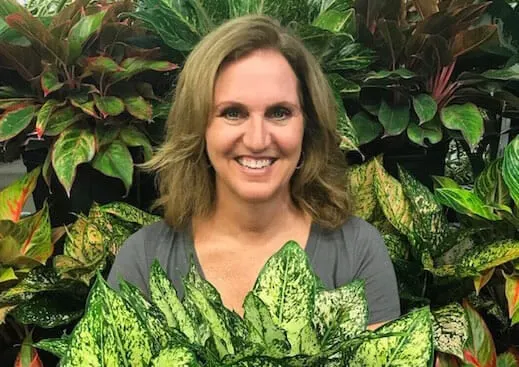 Houseplant pests