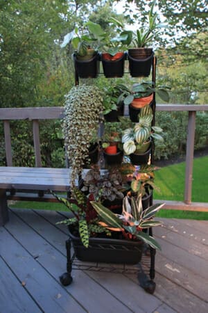 Watex Mobile Green Wall