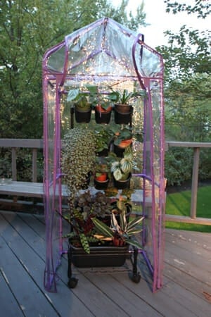 Watex Mobile Green Wall