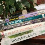 Top 7 Best Houseplant Books houseplant books
