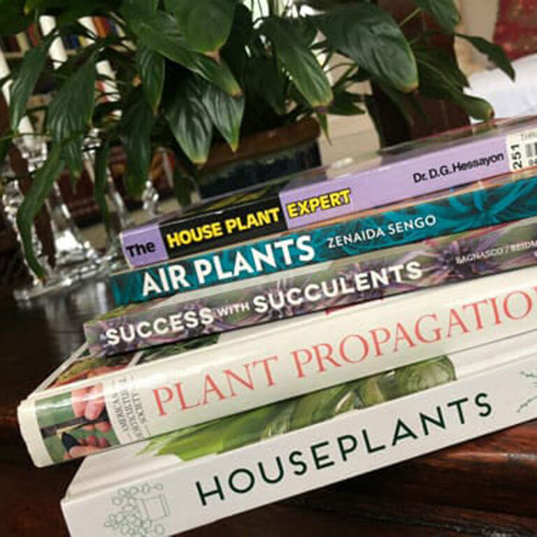 Top 7 Best Houseplant Books