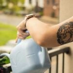 Overwatering Houseplants: It's Not What You Think! how to water potted plants