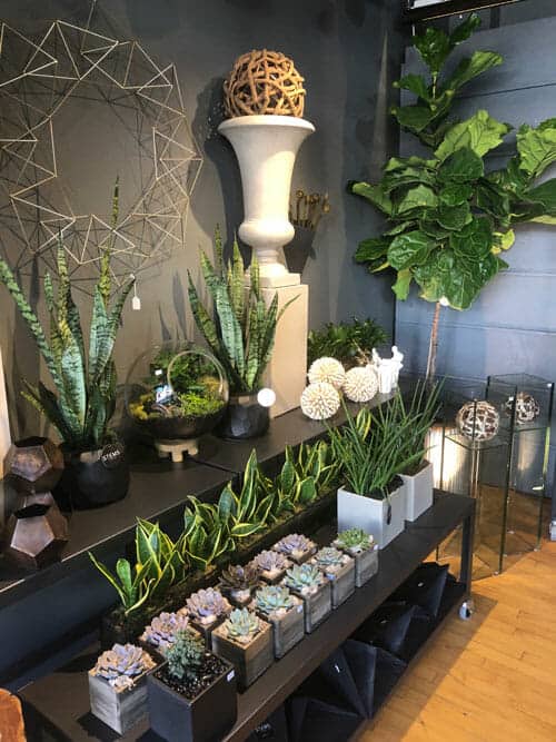 stems fleur cleveland heights florist