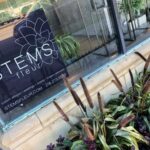 Interview with Stems Fleur stems fleur cleveland heights florist