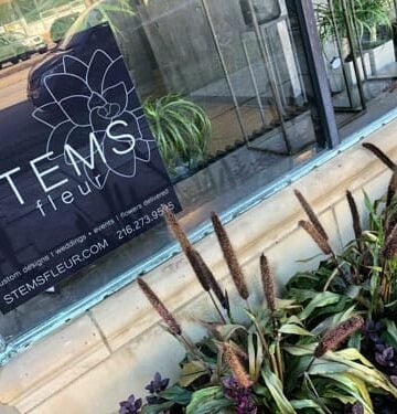 stems fleur cleveland heights florist