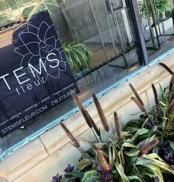 stems fleur cleveland heights florist