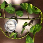 featured-houseplant-hacks