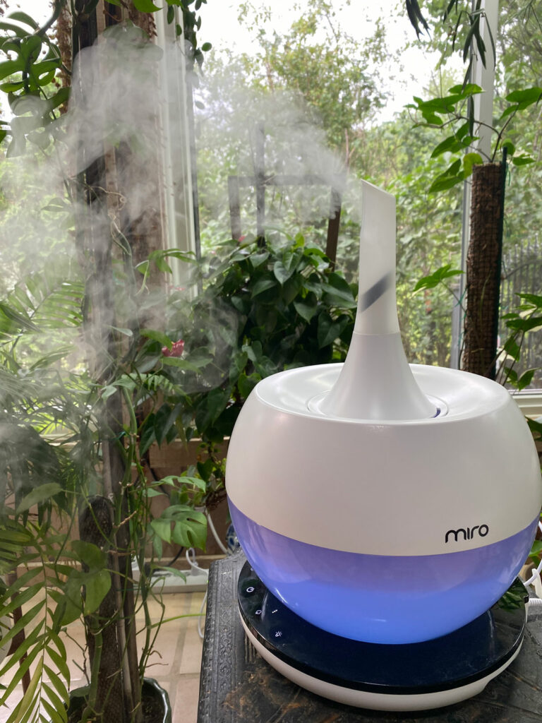 humidifier-brown-crispy-leaves