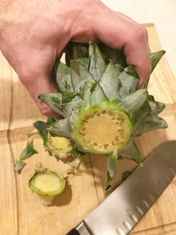 growing a pineapple