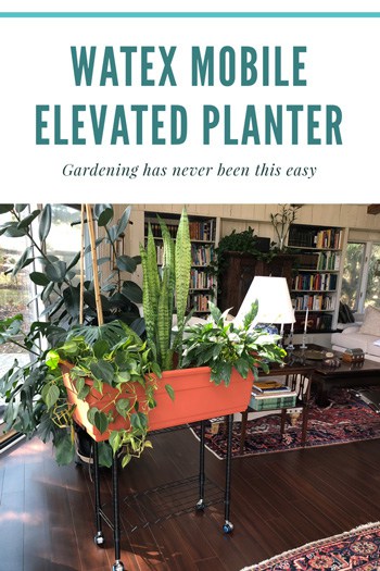 elevated mobile planter