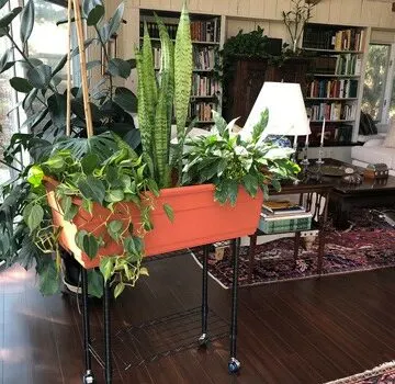 elevated mobile planter