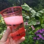 Why Not to Use Japanese Beetle Traps and Other Tips how not to use japanese beetle traps