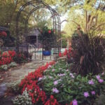 featured-garden-design