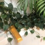 Growing Philodendron Scandens or Heart Leaf Philodendron philodendron scandens