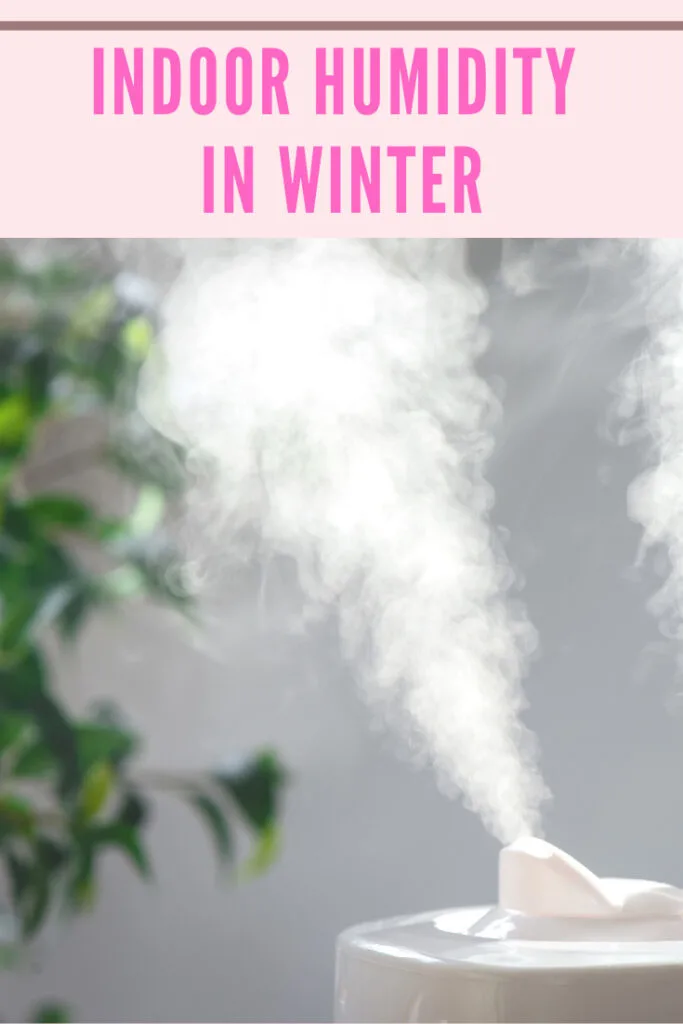 indoor-humidity-in-winter-houseplants