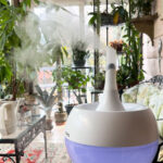 featured-humidifier