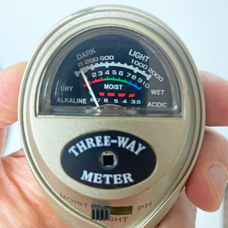 Soil Moisture Meters for Indoor Plants:  3 Big Dangers