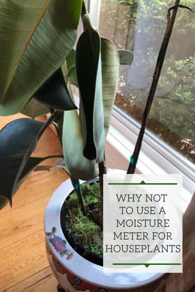 picture Best Moisture Meter For Plants Uk soil moisture meters for indoor plants
