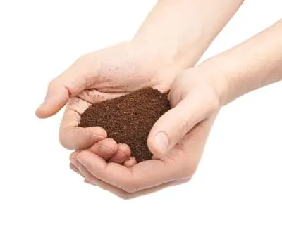 best soil for indoor plants