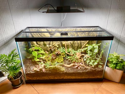 aquarium terrarium