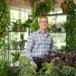 Houseplant Consultations Ohio-Tropics-2-1