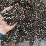 Best Monstera Deliciosa Soil: #1 Guide to 3 Top Recipes ponytail-palm-soil