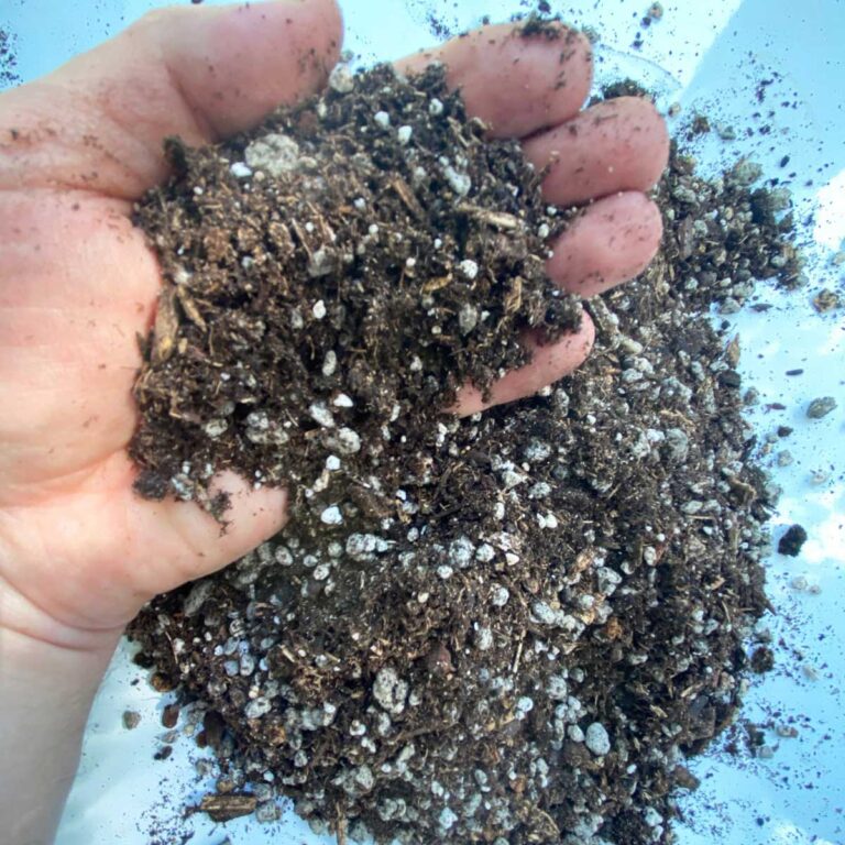 Best Organic Potting Mix for Indoor Plants: #1 Choice