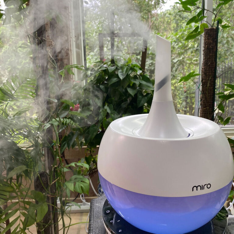 Best Humidifier For Calathea, Ferns & More:  Our 3 Top Picks