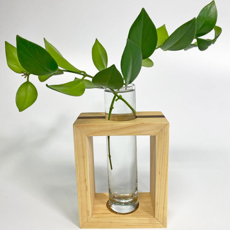 Lipstick Plant Propagation:  2 Simple & Effective Methods