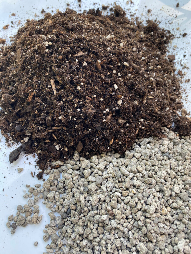 soil-mix-for-hoya-plant
