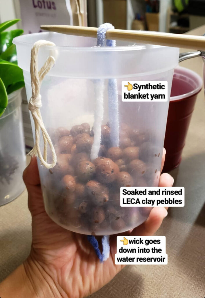 leca-pot