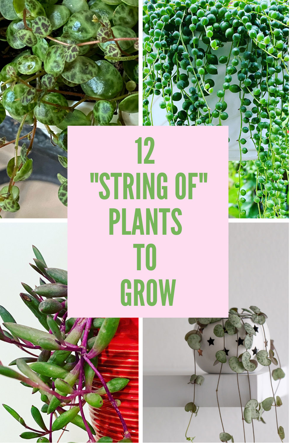 Purple String Of Bananas