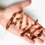 How to Plant Oxalis Bulbs (Corms) - Easy Guide With Photos planting-oxalis-corms-bulbs