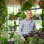 About Ohio Tropics Houseplant and Garden Care Houseplant-Warrior-Raffaele-DiLallo