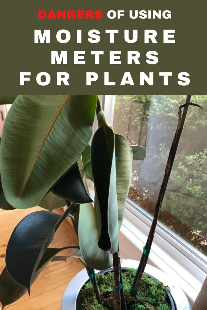 Soil Moisture Meters for Indoor Plants: 3 Big Dangers