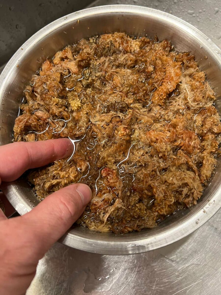 Butterfly Method for String of Hearts Propagation