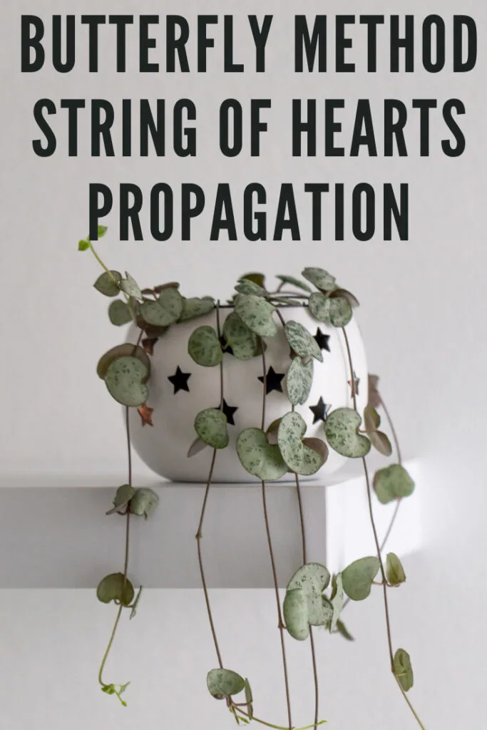 butterfly-method-string-of-hearts