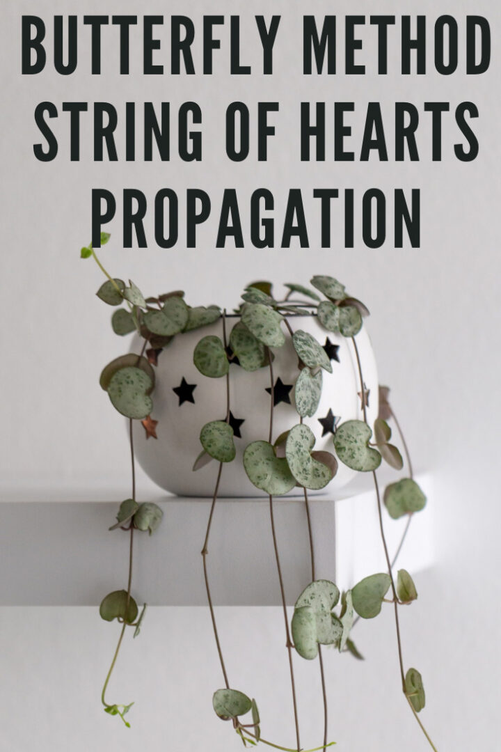 Butterfly Method for String of Hearts Propagation