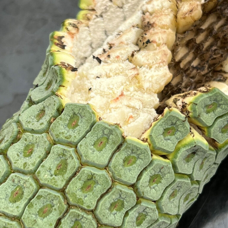 Monstera Deliciosa Fruit:  5 Things to Know About Eating It