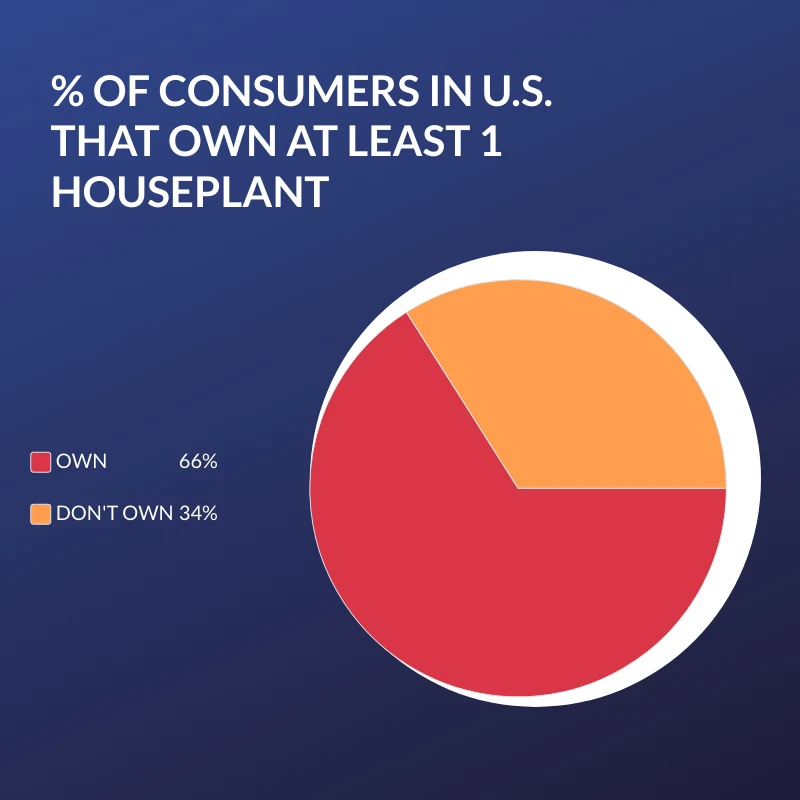 percent-people-US-with-houseplants