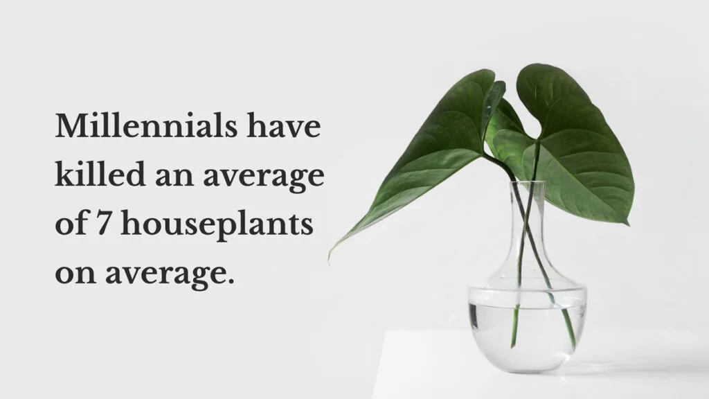 millennials-killing-plants