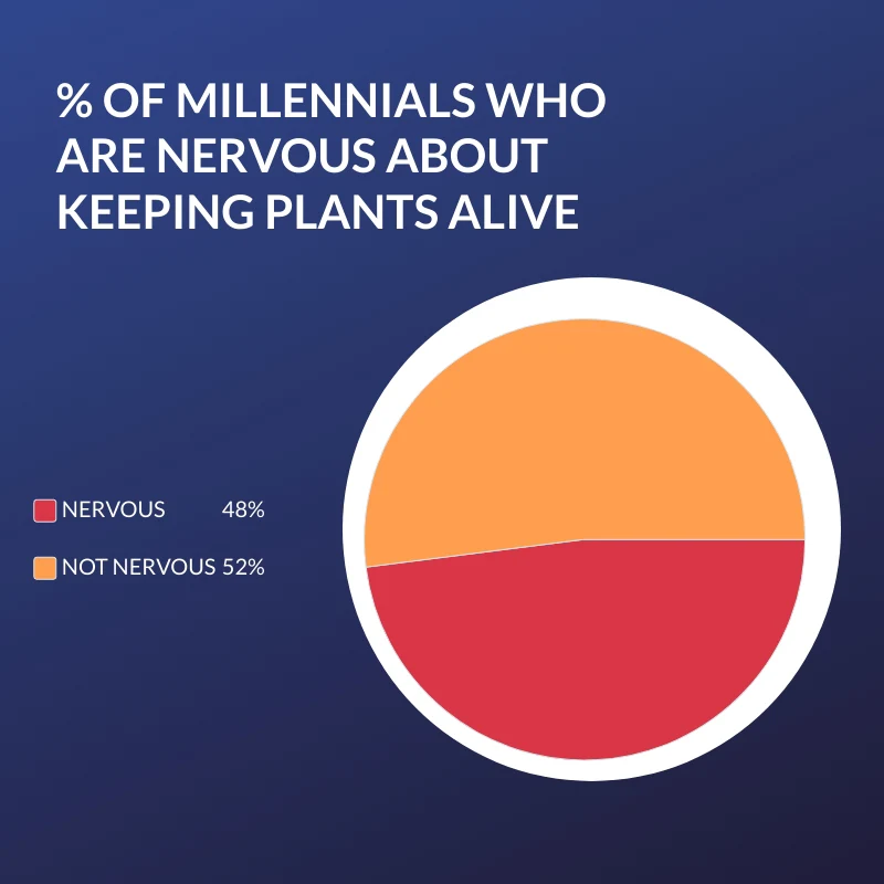 millennials-nervous-about-keeping-plants-alive