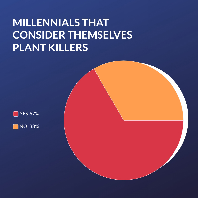 millennials-plant-murderer