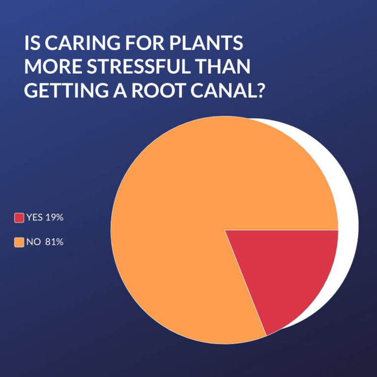 10 Titillating Houseplant Statistics You Need to Know