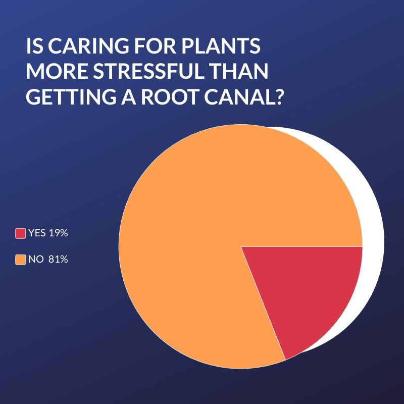 houseplant-statistics