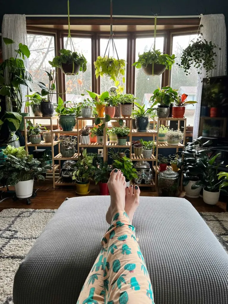 jenny-grimes-houseplant-hoarder
